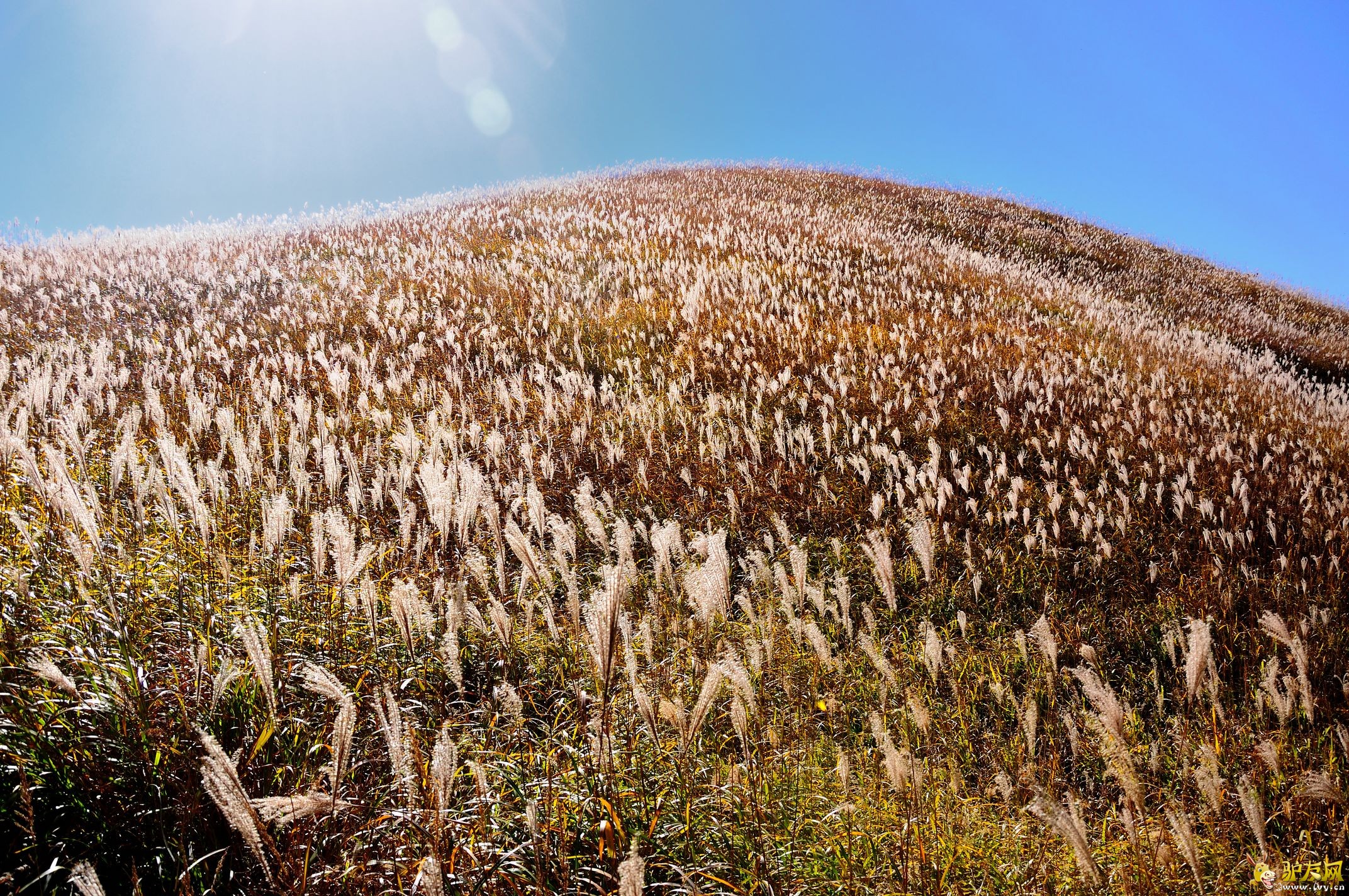 �����书ɽ (8).jpg